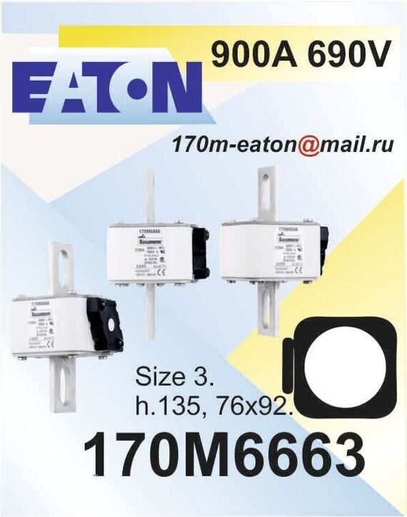 170M6663 170M6663